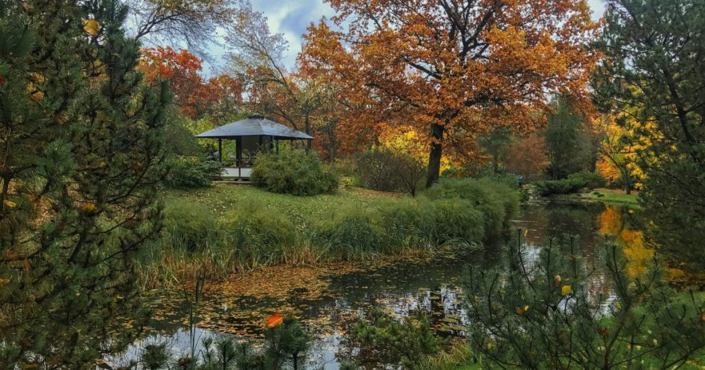 De warme kleuren van de herfst tonen zich aan de bomen en struiken
