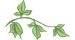 simpel-takje-groene-plant-België Groen takje
